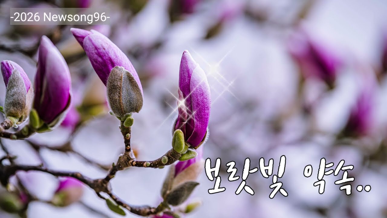 보랏빛 약속