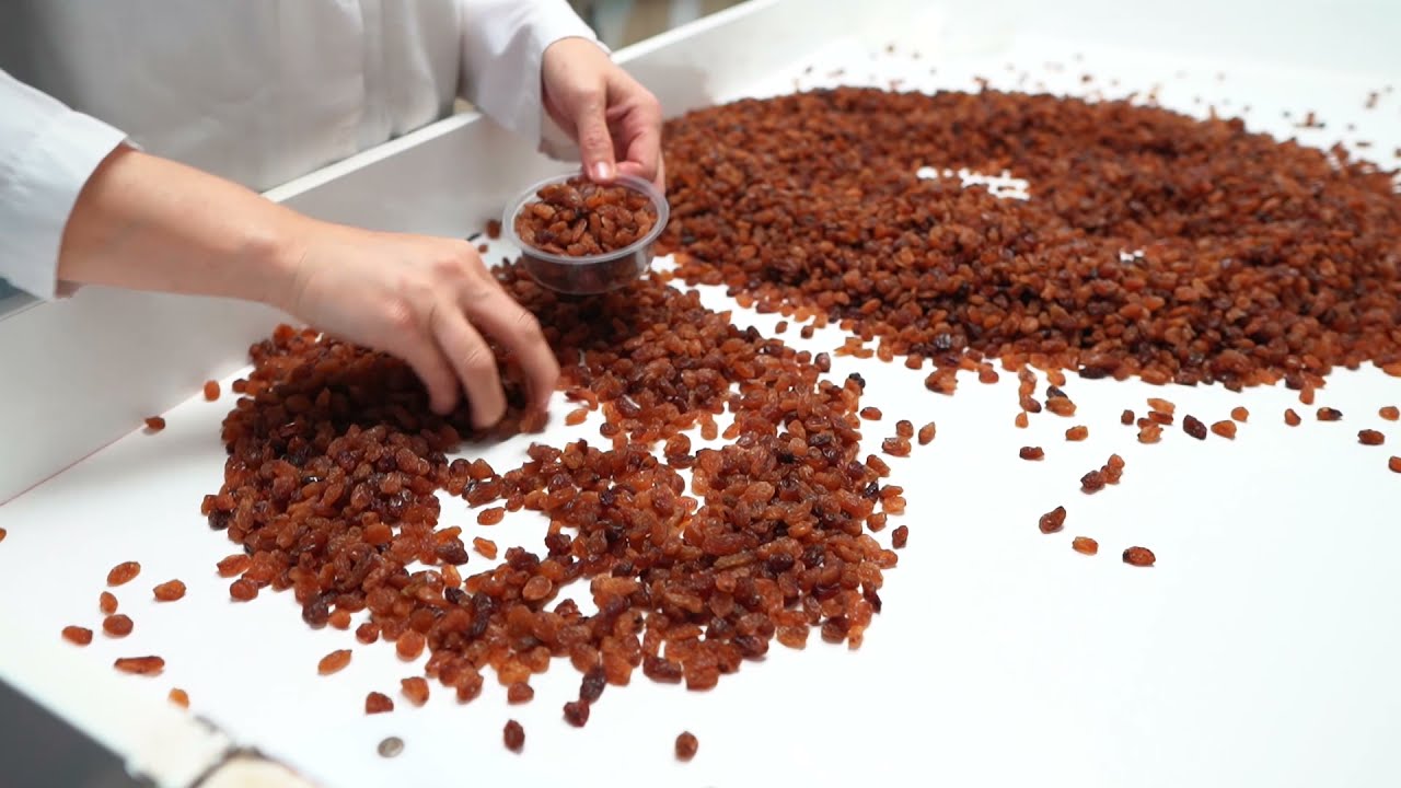 Sultanas Kuru Üzüm Fabrikası