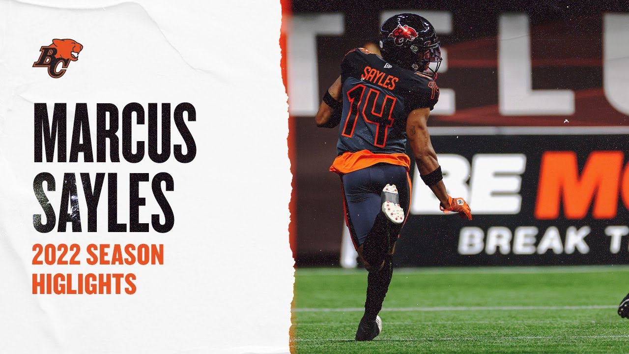 Marcus Sayles - DB - 2022 Season Highlights