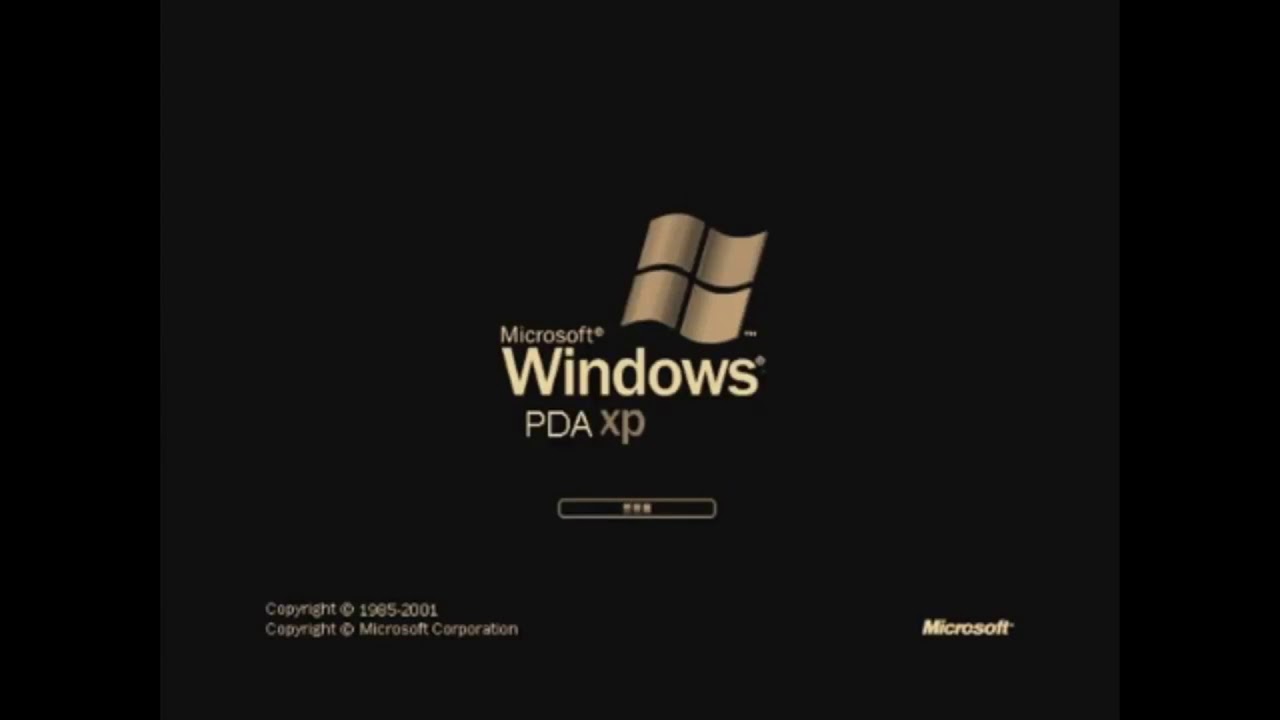 Windows History With Never Released Versions R1 P2 (BW134)