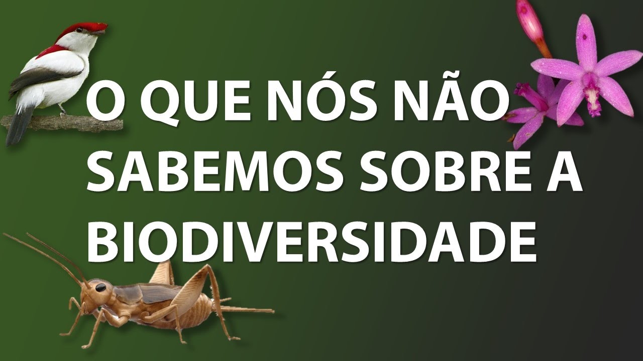 O QUE N&Atilde;O SABEMOS SOBRE A BIODIVERSIDADE (English subtitles)
