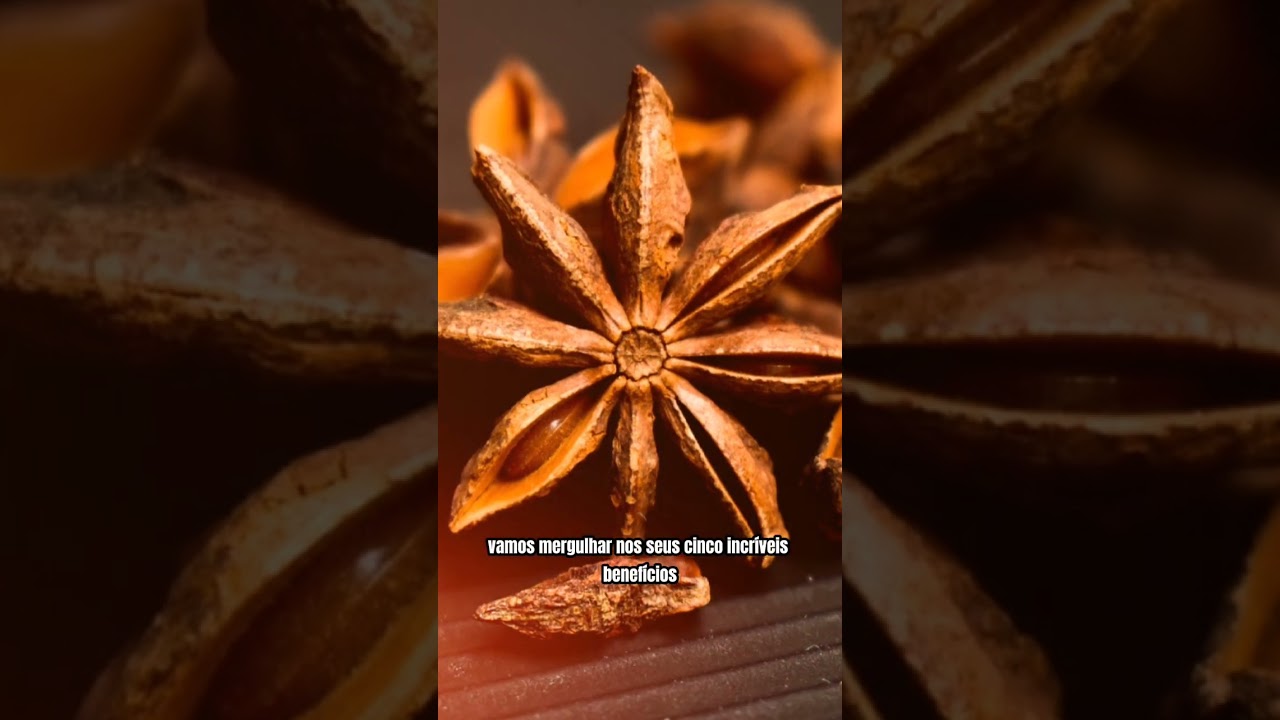 Para Que Serve o ANIS ESTRELADO #medicinanatural #alimentacaonatural #curapelanatureza