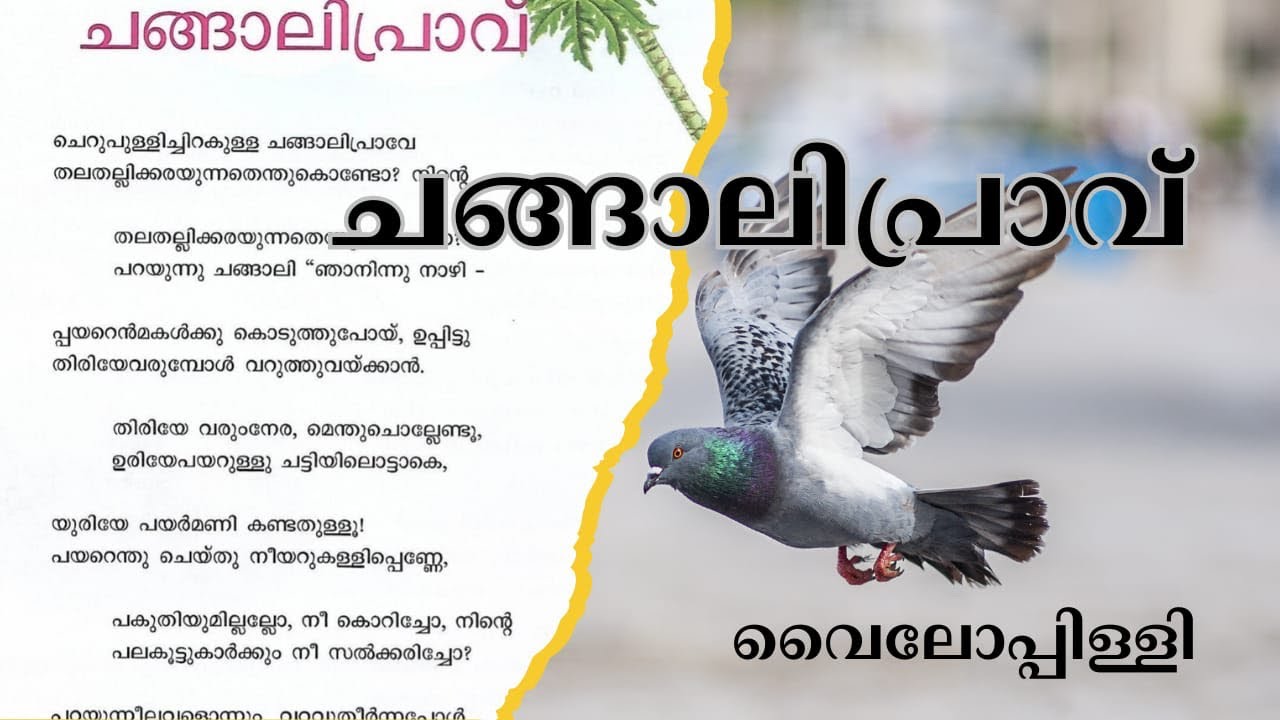 Changalipraav ചങ്ങാലിപ്രാവ് -വൈലോപ്പിളളി