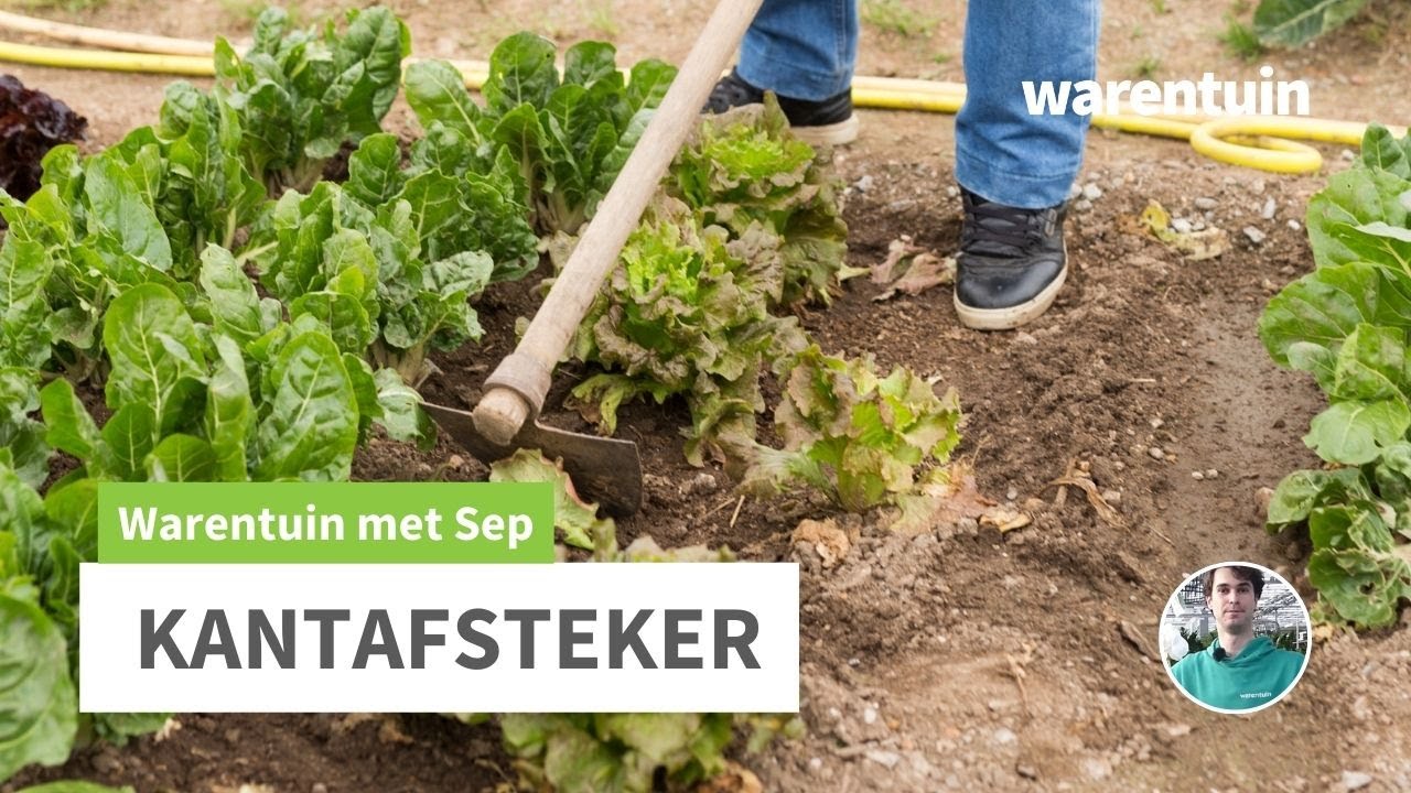 Alles over de Kantafsteker