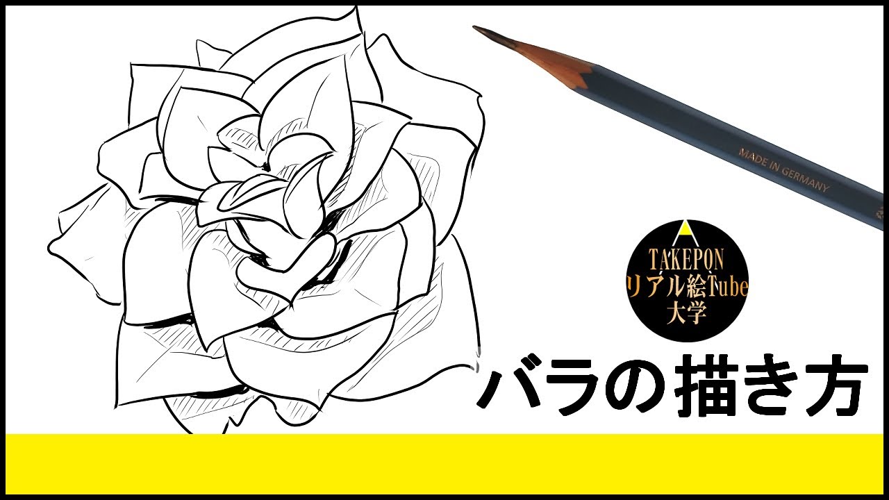 【バラの描き方】リアルなイラストが誰でも簡単に上手くなる方法ー中学校の美術で使えるスケッチの書き方のコツ