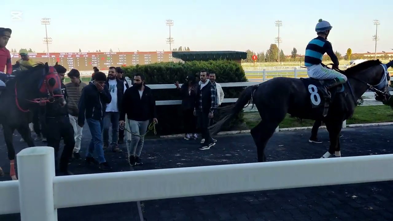 TJK SHOFUKAN ,GOOD RUNNER(8) 22.03.2025 ADANA #tjk