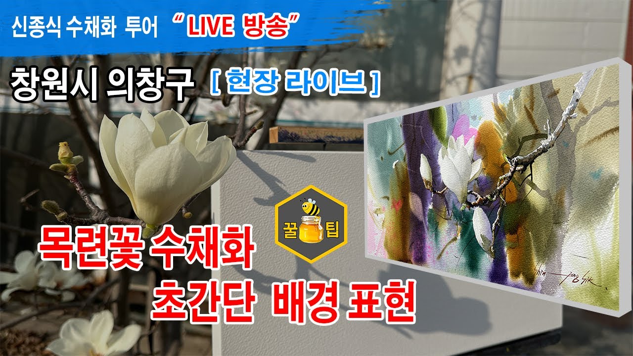 창원시 의창구, 목련수채화 & 배경 표현