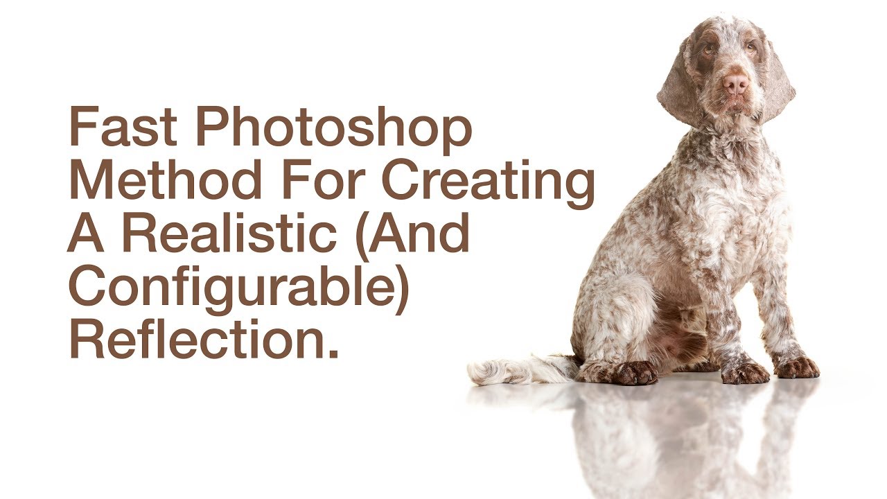 How To Create A Configurable Reflection In Photoshop