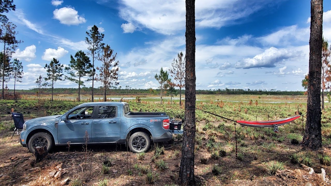 Ford Maverick Camping | Ocala National Forest