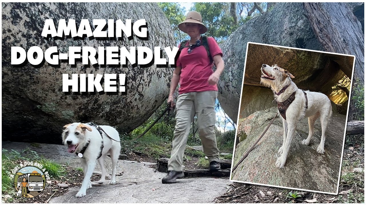 Exploring Donnellys Castle, a must-see dog friendly spot in southeast Queensland
