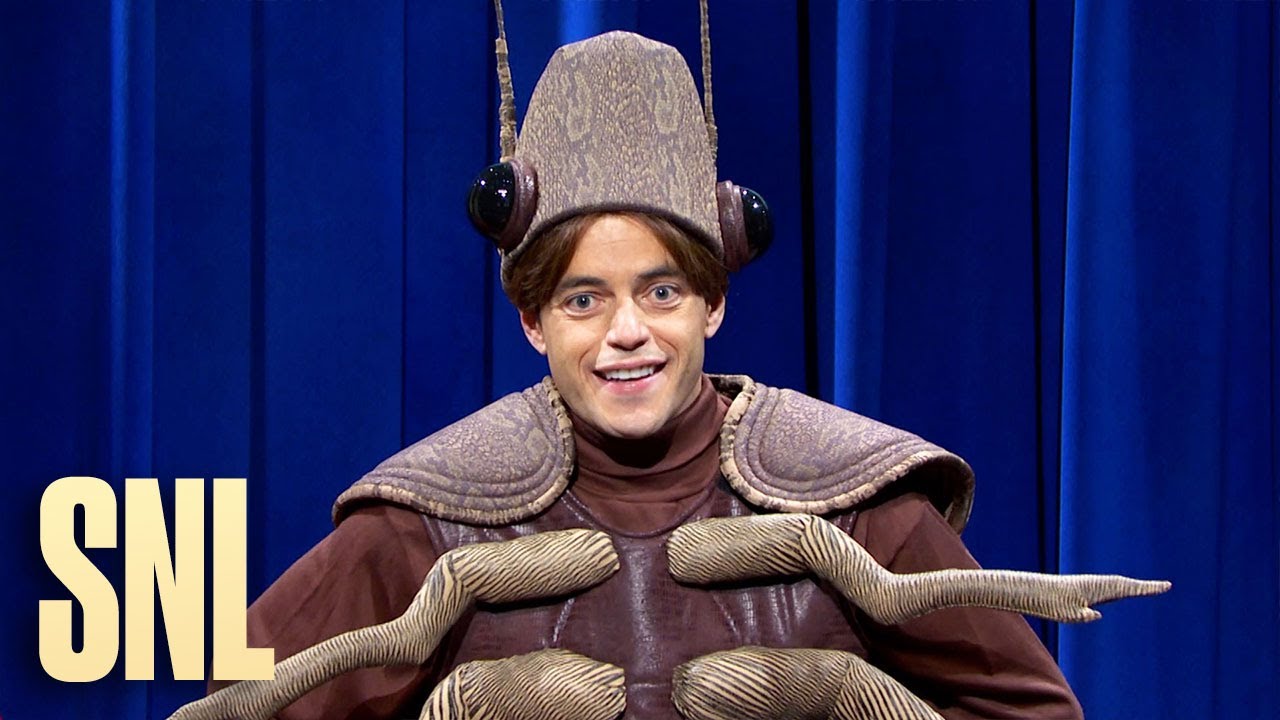 Bug Assembly - SNL
