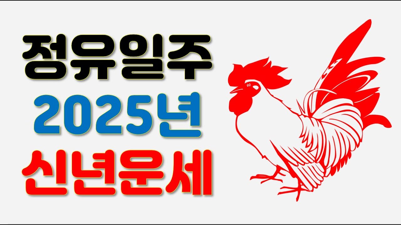 정유일주, 2025년 을사년신년운세 사주분석