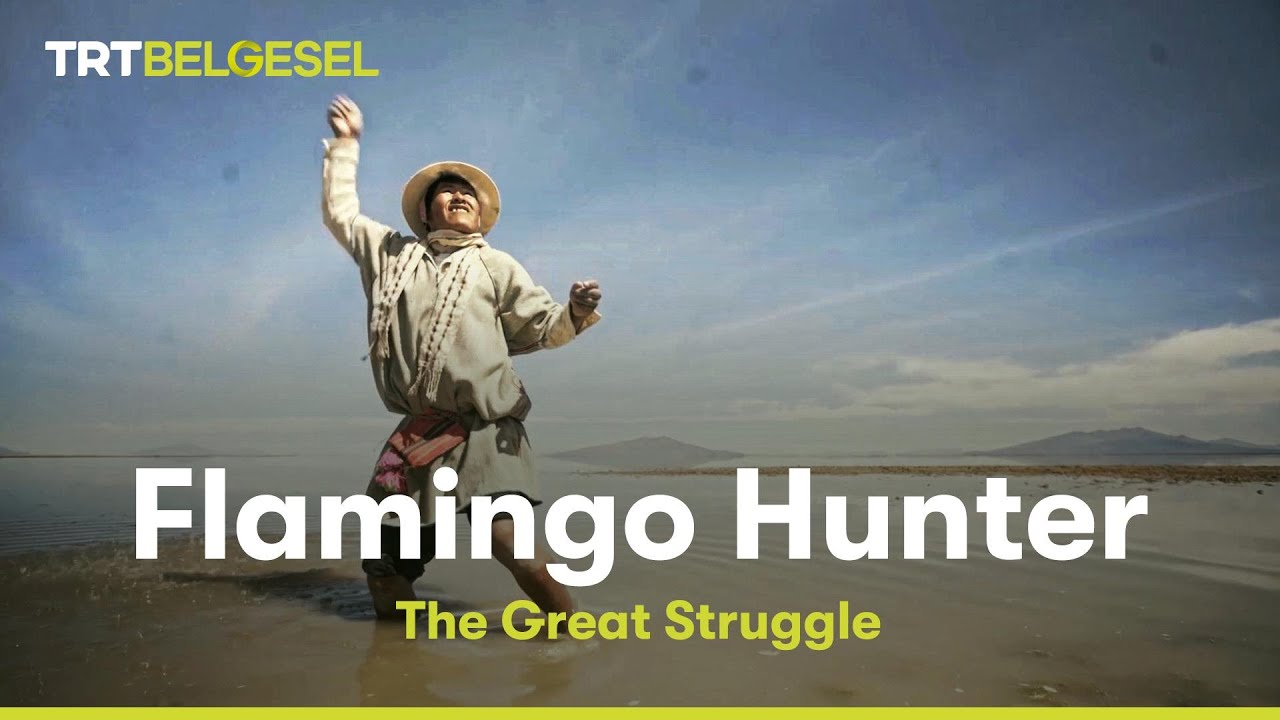 Flamingo Hunter | The Great Struggle
