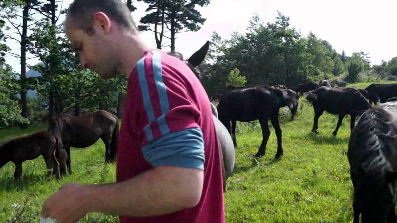 Trailer Pottokak Txindokipean