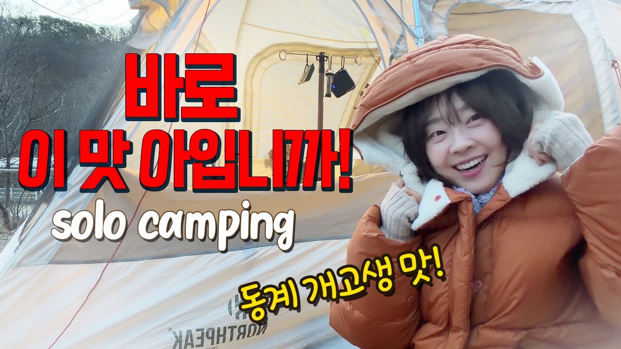 [솔캠] 여자혼자 동계캠핑 진짜 안전할까⁉️자발적 고립중 텐트밖에 갇힌 사연!ㅣ감자탕에 소주ㅣ반사식 난로ㅣ 불멍asmrㅣ캠핑요리ㅣ캠핑장비ㅣ혼술ㅣ나홀로캠핑ㅣ강화도여행ㅣ노스피크스타쉽