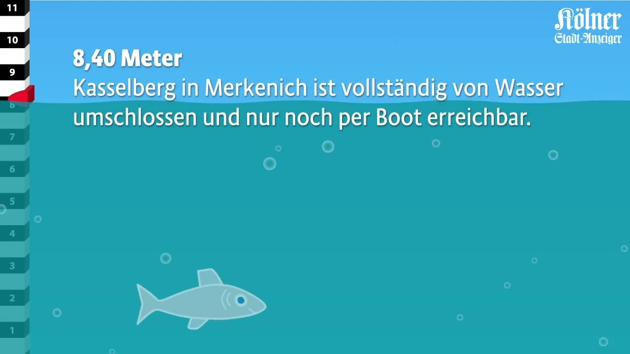 Hochwasser in Köln - Die Schutzmaßnahmen