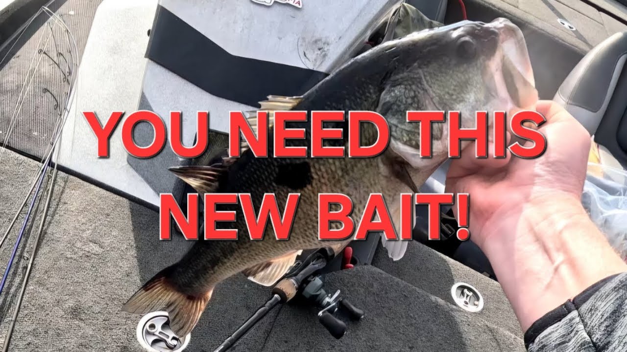 Newly released Rapala Jerkbait vs Winter BASS