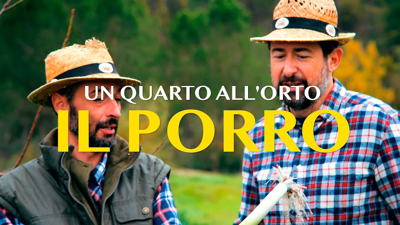 IL PORRO - UN QUARTO ALL'ORTO