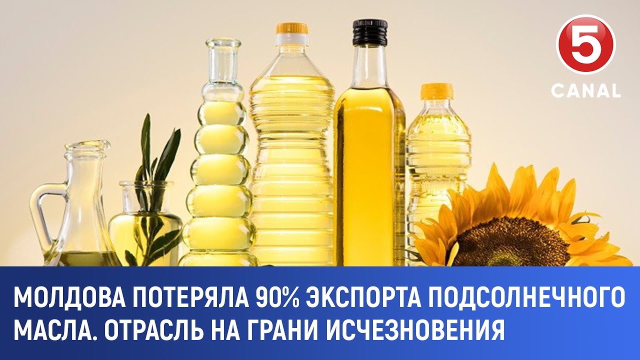 Молдова потеряла 90% экспорта подсолнечного масла. Отрасль на грани исчезновения