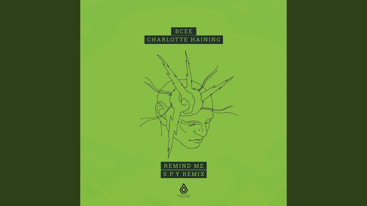 Remind Me (S.P.Y Remix)