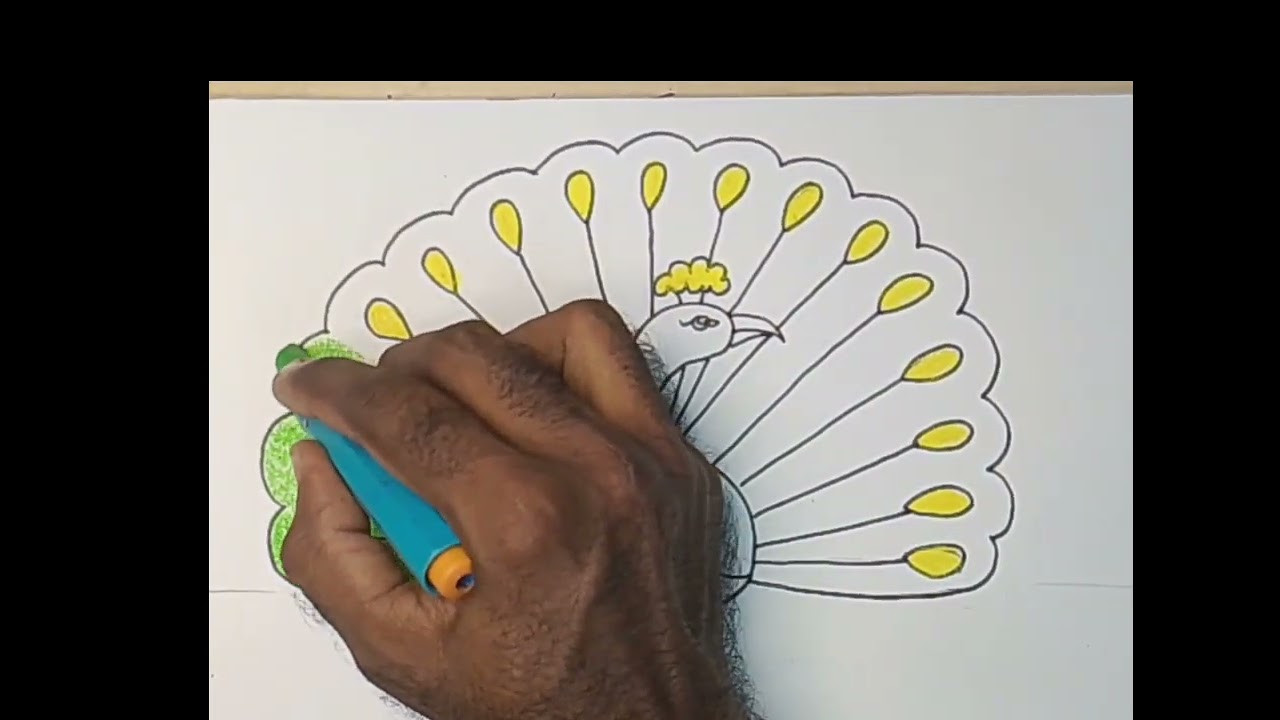 How to draw peacock drawing|colors of life art studio