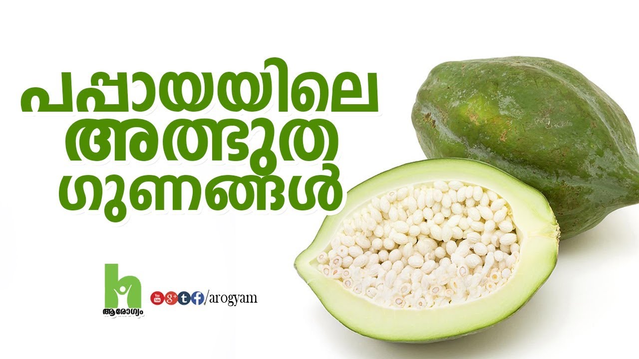 പപ്പായയിലെ അത്ഭുത ഗുണങ്ങൾ Pappaya health benefits malayalam video