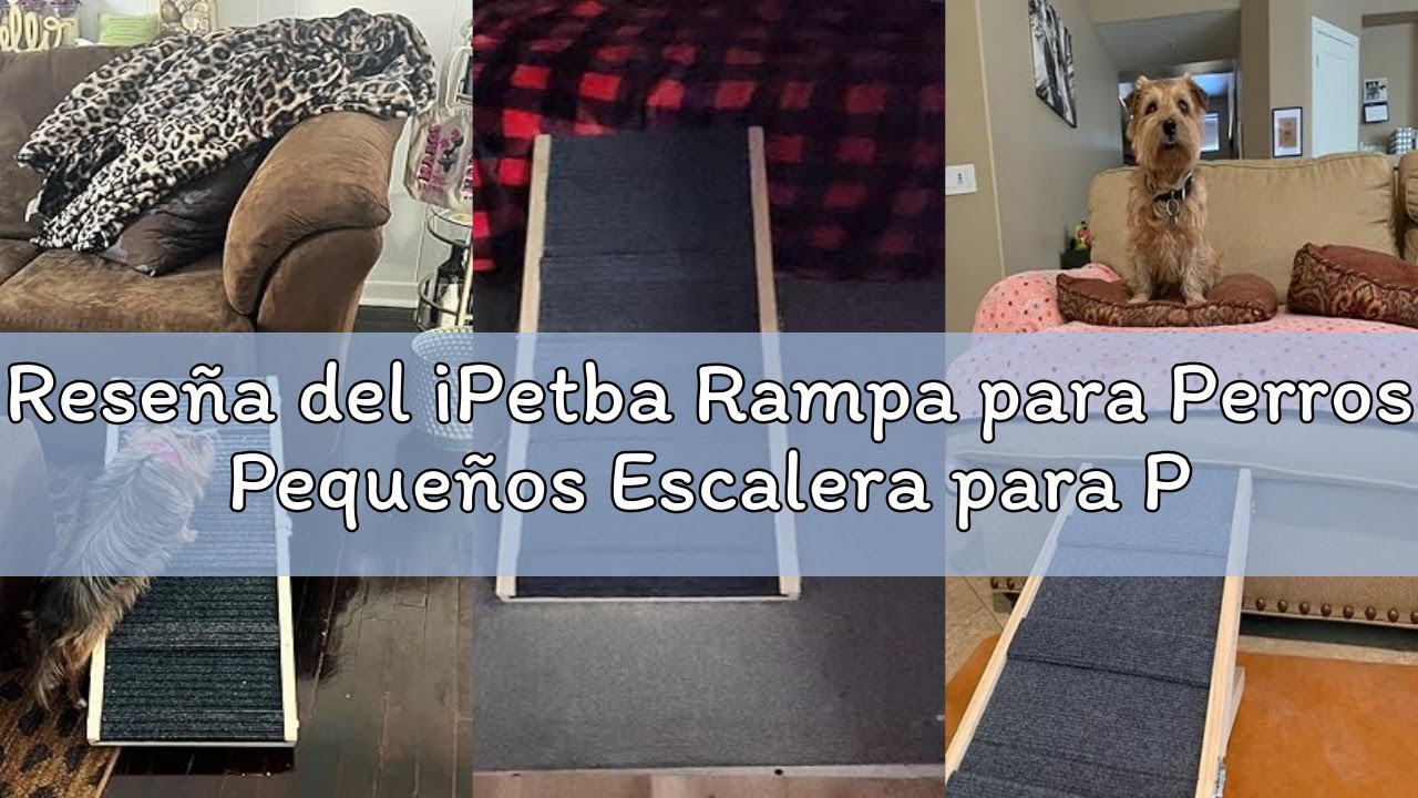 Reseña del iPetba Rampa para Perros Pequeños Escalera para Perros para Cama y Sofá Plegable y Ajusta