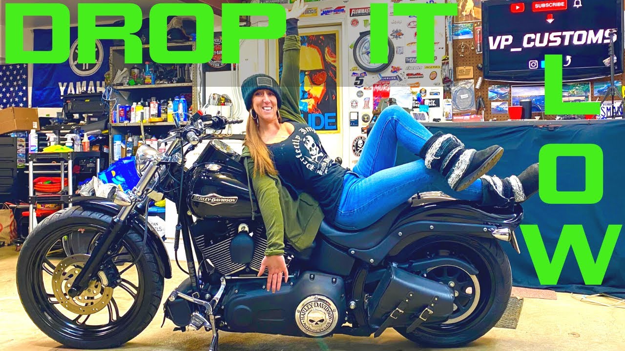 Softail Drop In Front Lowering Kit.