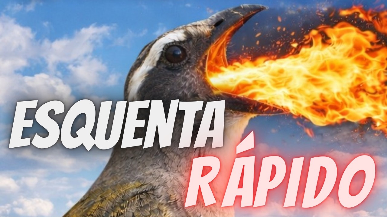 ESQUENTAR TRINCA FERRO RAPIDO