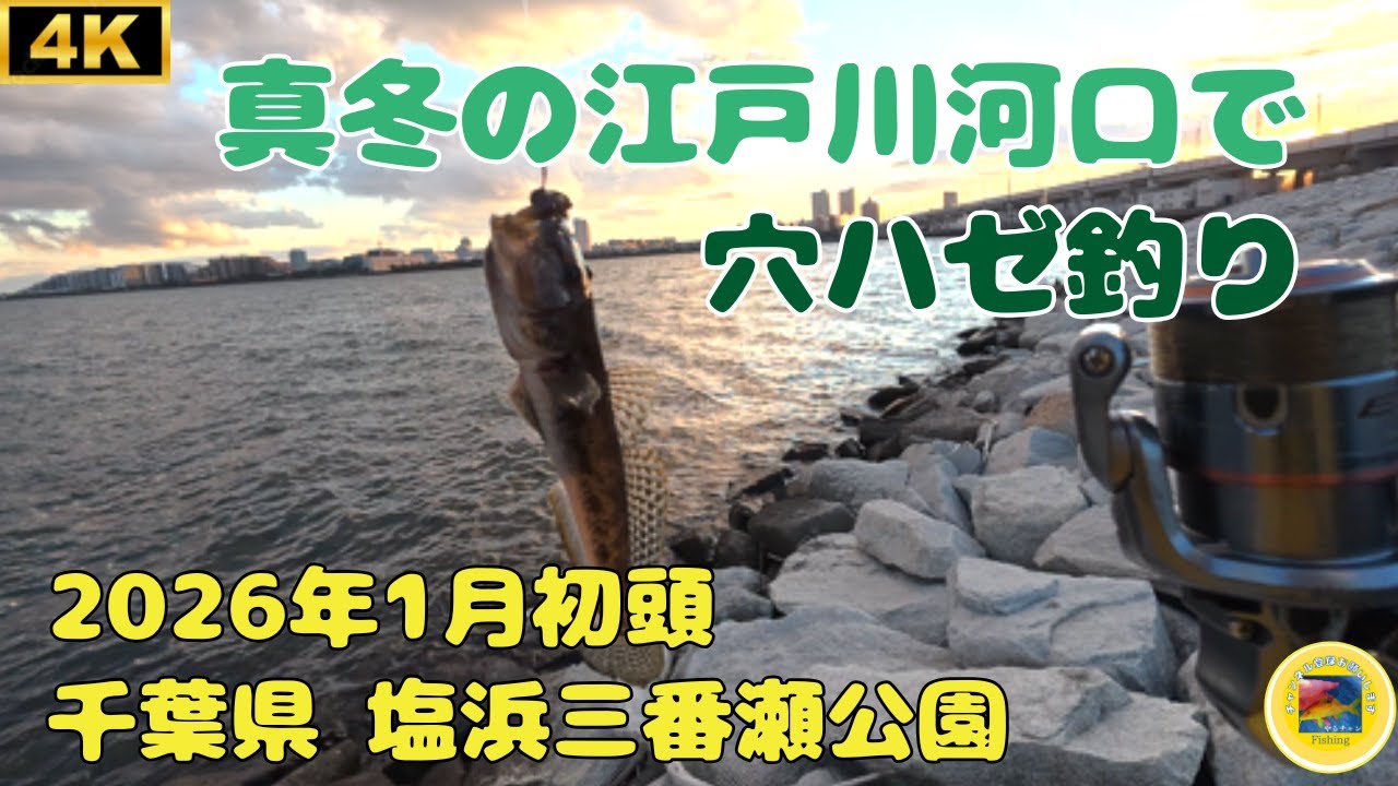 真冬の東京湾で穴ハゼ釣り 千葉 塩浜三番瀬公園 2026年1月2日 #釣り #ハゼ釣り #穴釣り #fishing