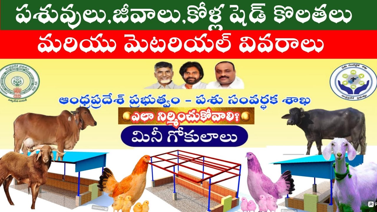 90% సబ్సిడీతో పశువుల షెడ్లను ఎలా నిర్మించుకోవాలి?  MGNREGS SHED MEASUREMENTS -MATERIALS Used
