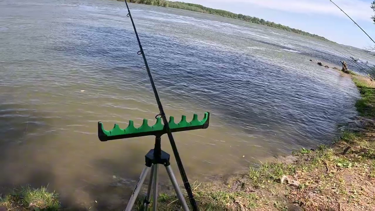 Aprilsko pecanje na Dunavu