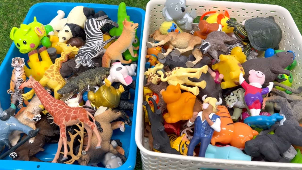 Wild Zoo Animal Toys Collection | Relaxing Music & Visuals for Kids