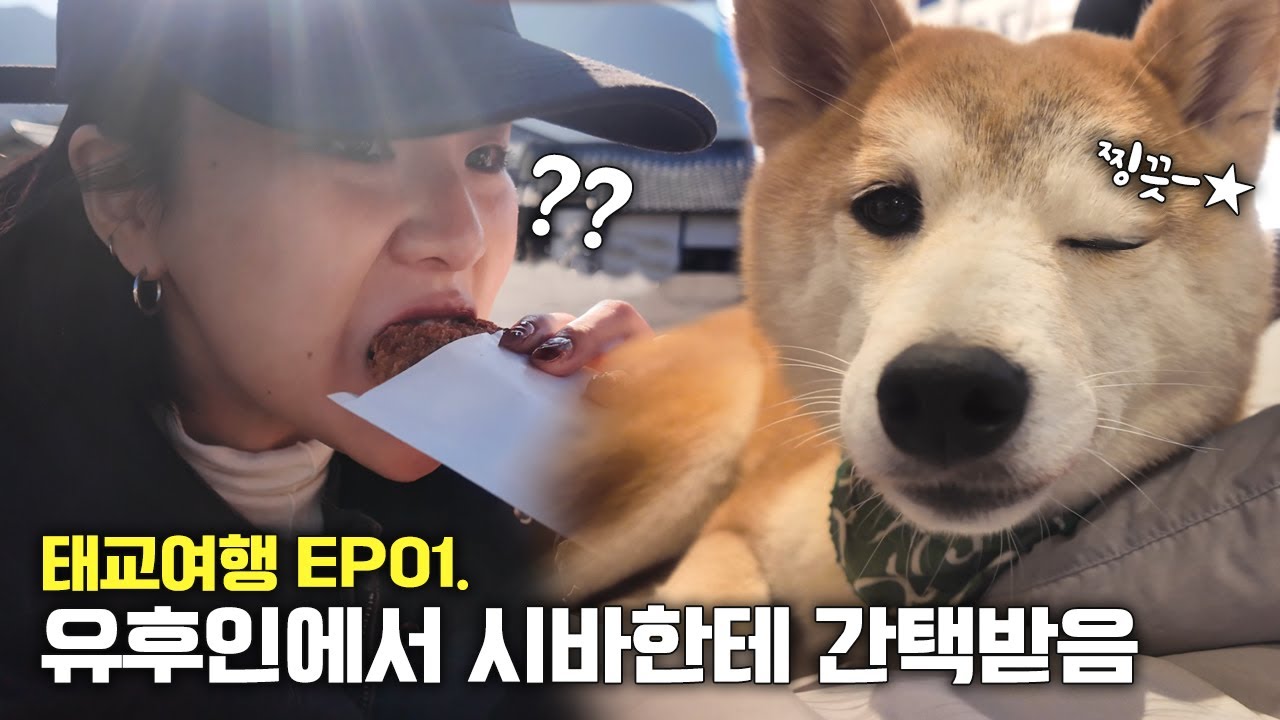[이월 VLOG] 후쿠오카 태교여행 ep.01 | 28주 임산부의 유후인 숙소 & 먹방 총정리