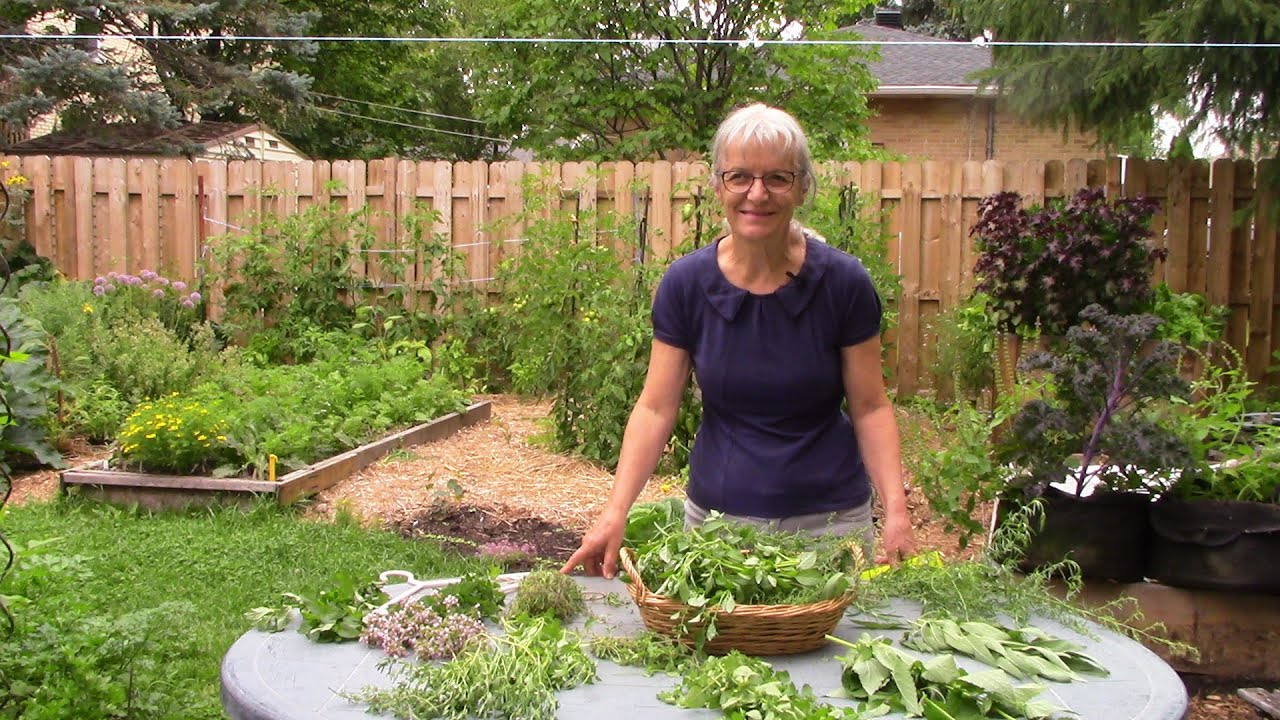 La conservation des fines herbes