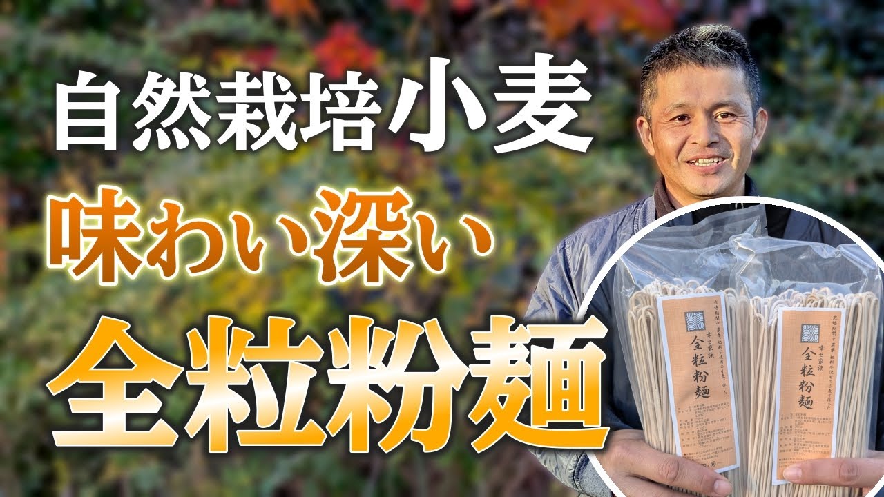 自然栽培「全粒粉麺」の特徴とは（自然栽培専門店ナチュラルスタイル）