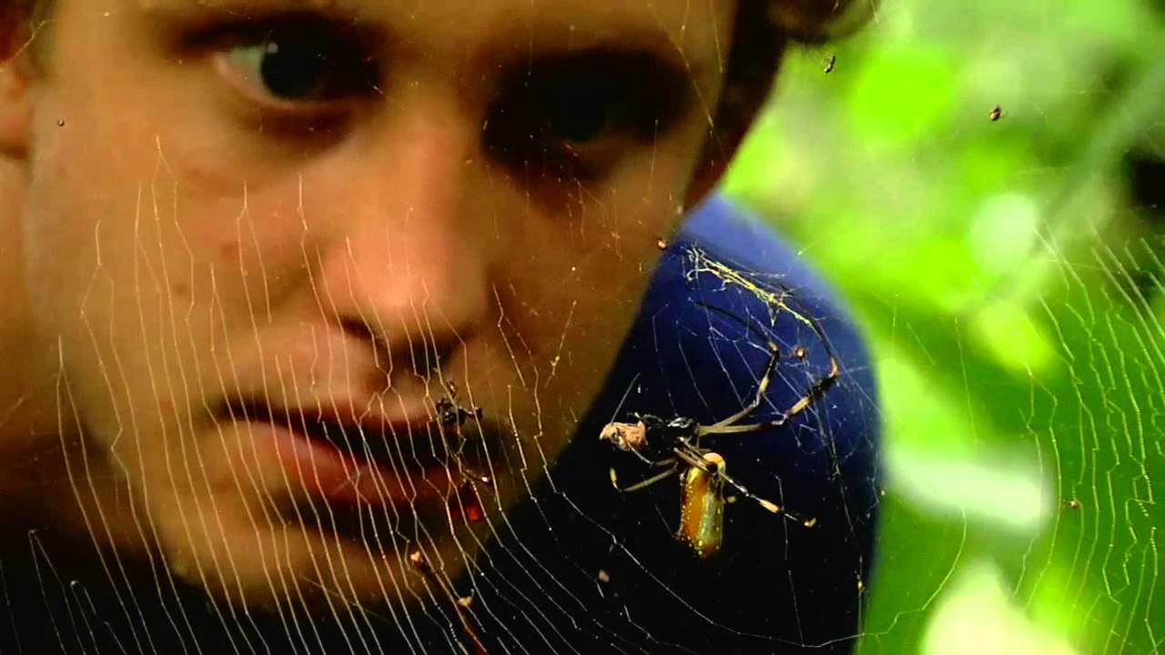 Organization for Tropical Studies