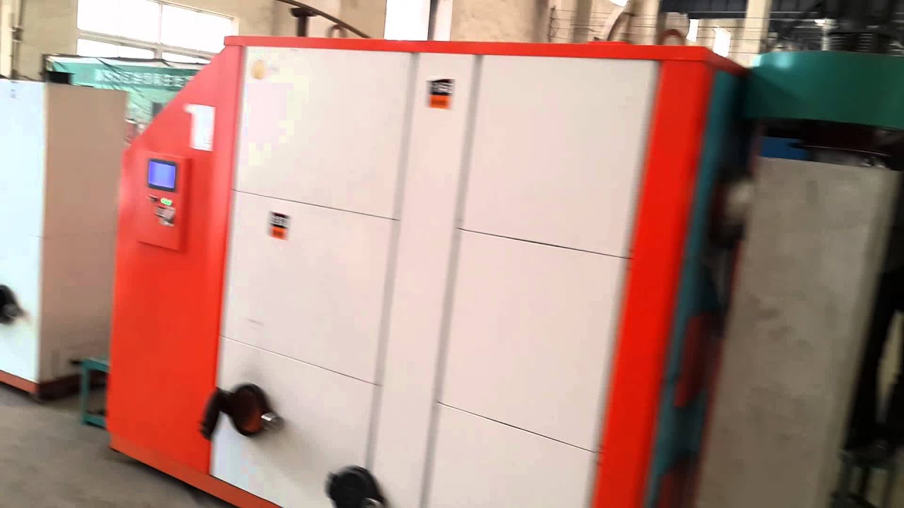 Biomass fuel hot water boiler
