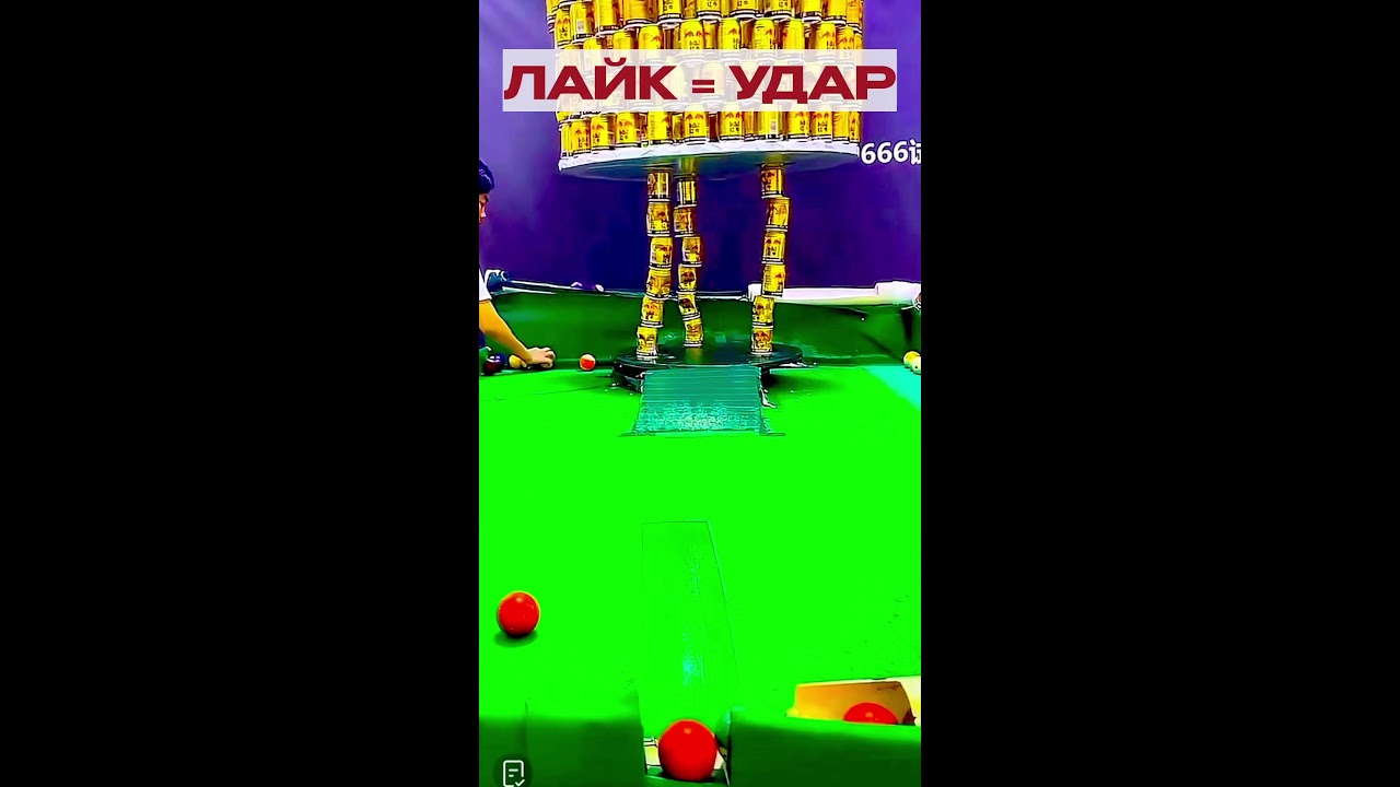 Сбиваем будки на банках ! Собаки кормят !