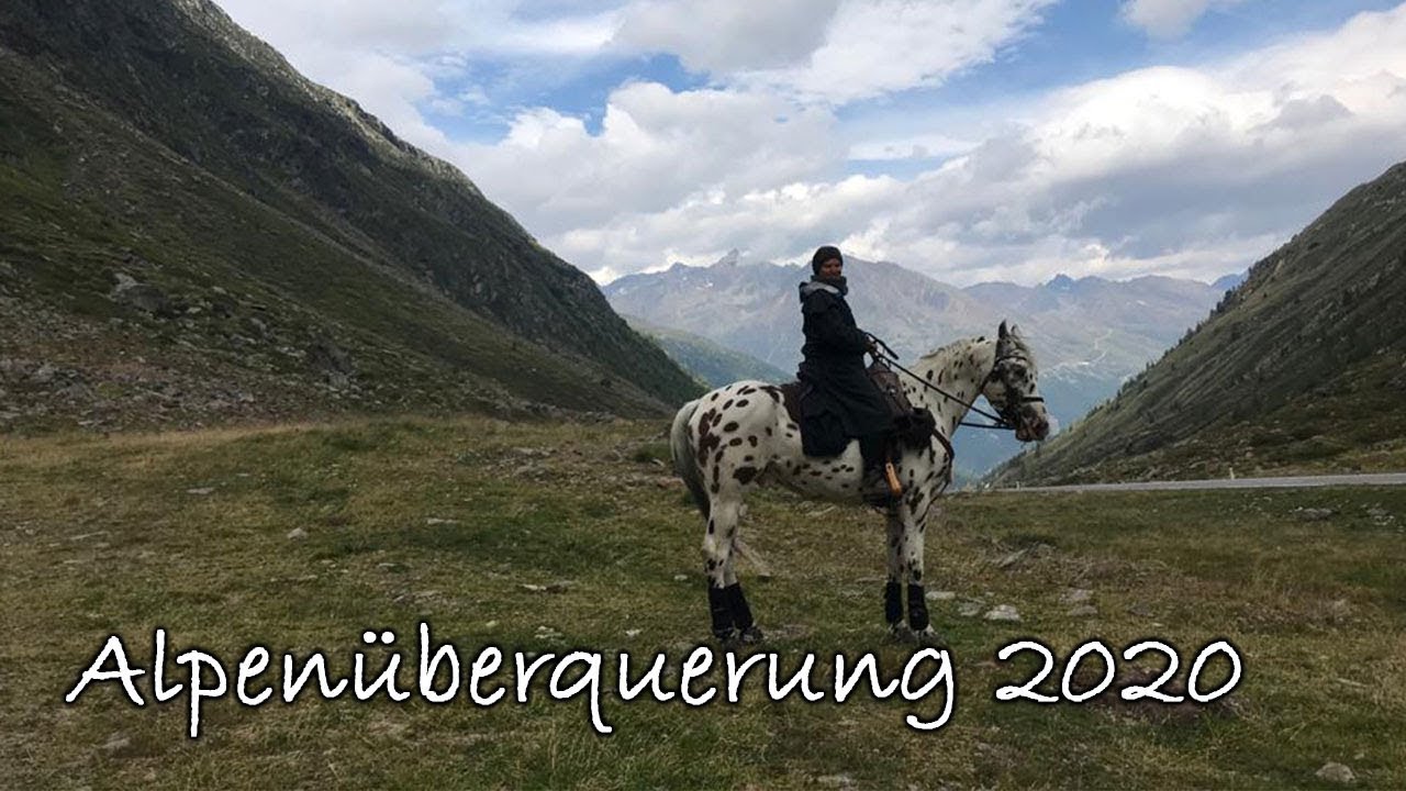 😧 ABSTURZ MIT DEM PFERD 😧 Alpenüberquerung EXTREM