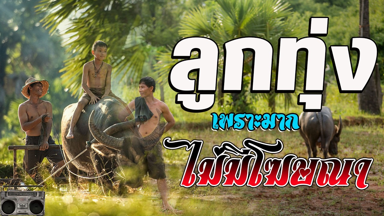 ลูกทุ่งรวมเพลงเพราะมาก  รวมเพลง ลูกทุ่งฮิตที่สุด ฟังต่อเนื่อง #เพลงลูกทุ่งมาแรง