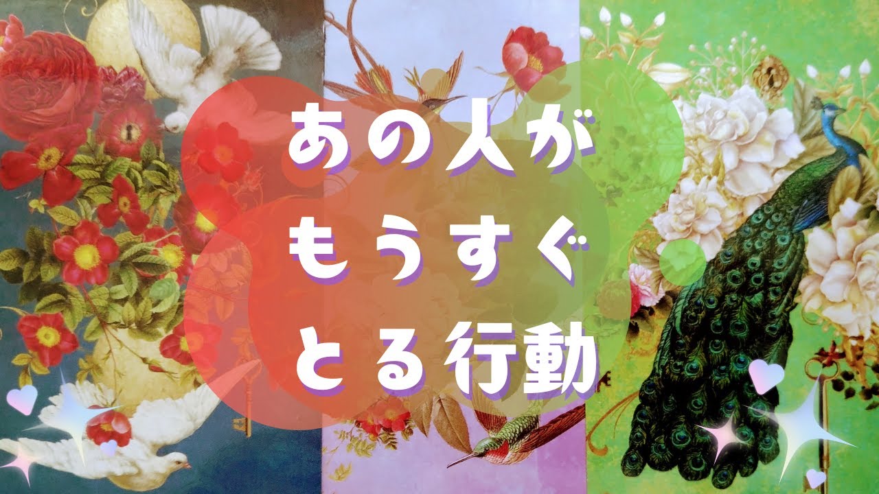 🕊あの人がもうすぐとる行動🕊【🔮ルノルマン＆タロット＆オラクルカードリーディング🔮】（忖度なし）