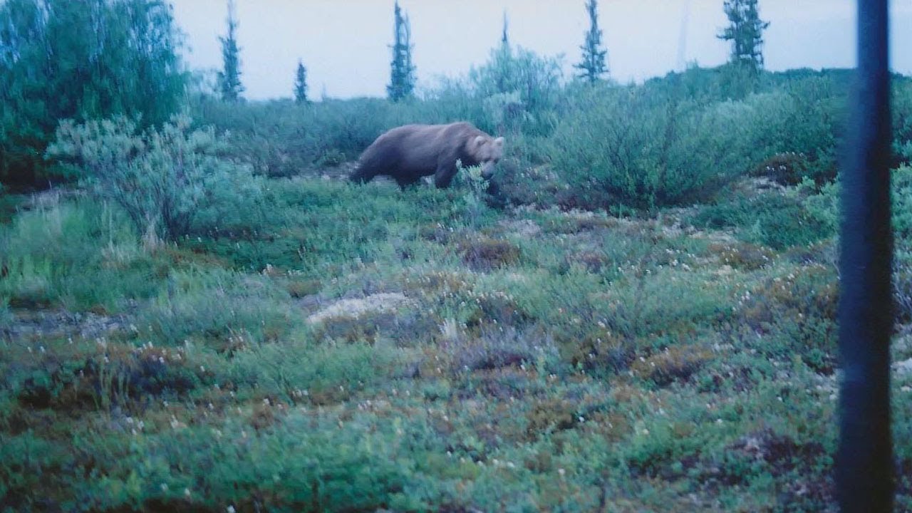 Remote Alaska Floats: Alagnak River