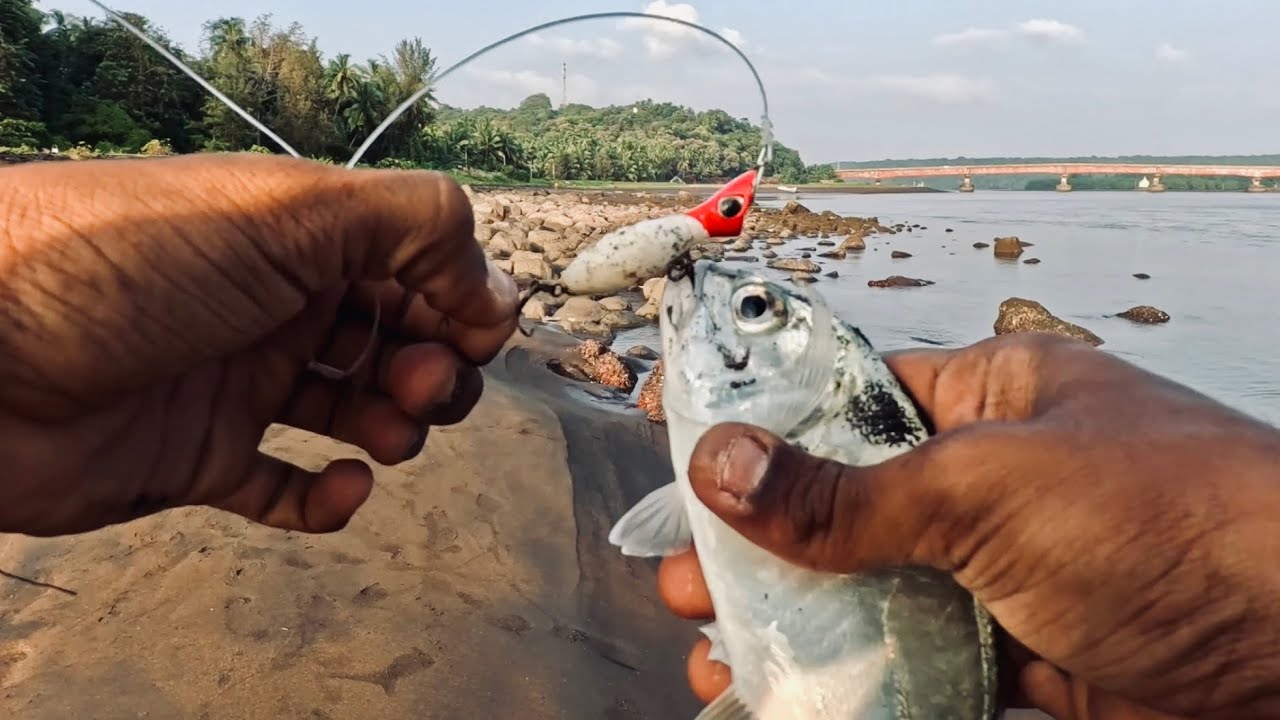CATCH AND COOK | Trevalley and Snapper fishing in Kokan ..🎣