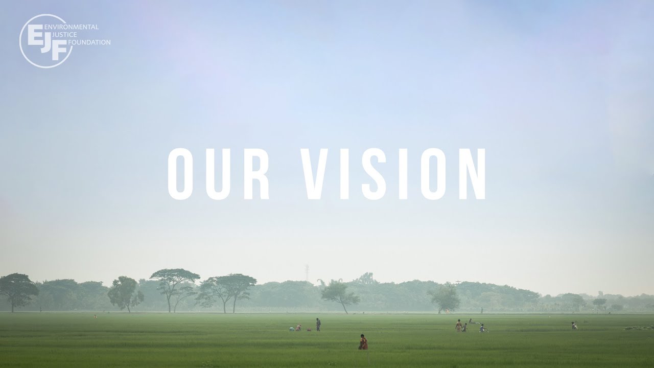 The Environmental Justice Foundation's (EJF's) vision