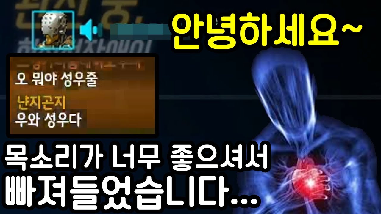 옵치하다가 처음으로 목소리에 반했습니다......너무 좋다!
