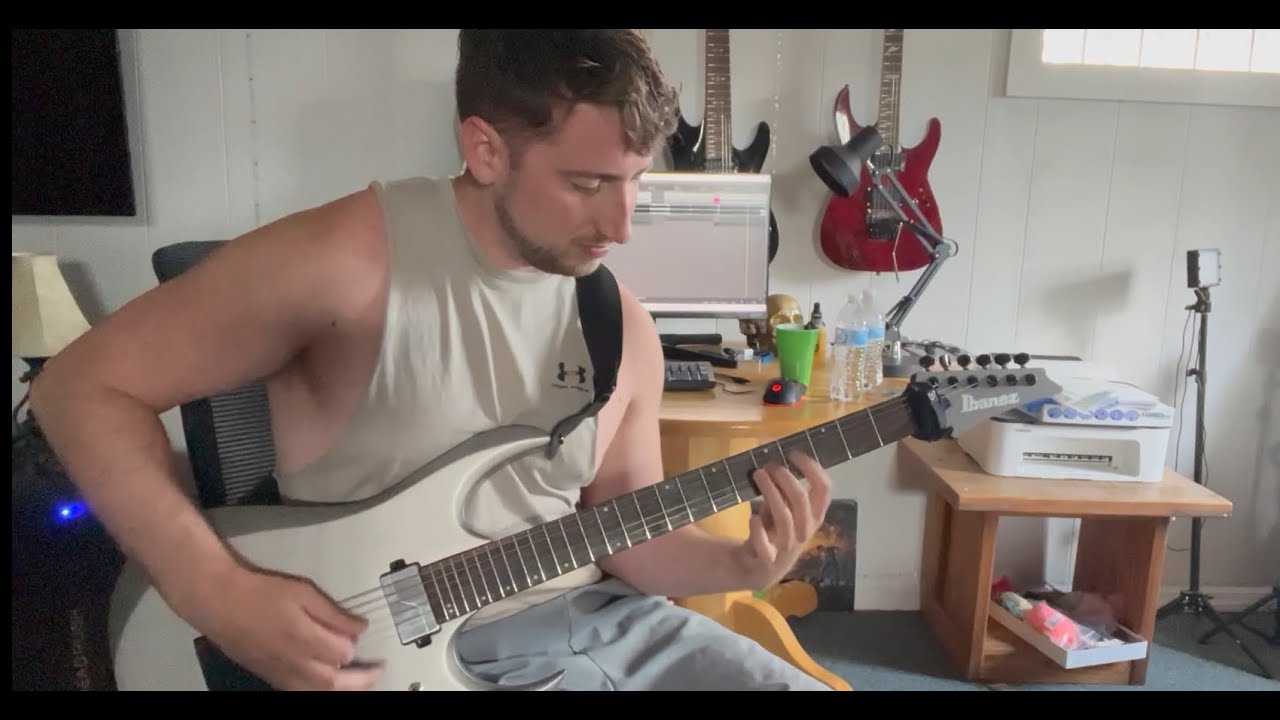 Signs of the Swarm - Amongst the Low and Empty (Guitar Cover)