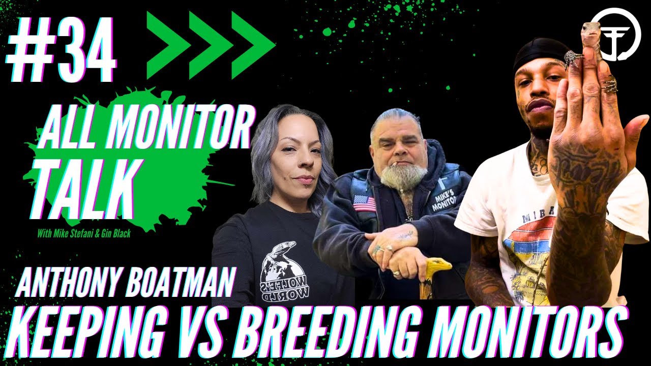 Keeping VS Breeding Monitors The BIG Difference | All Monitor Talk Live