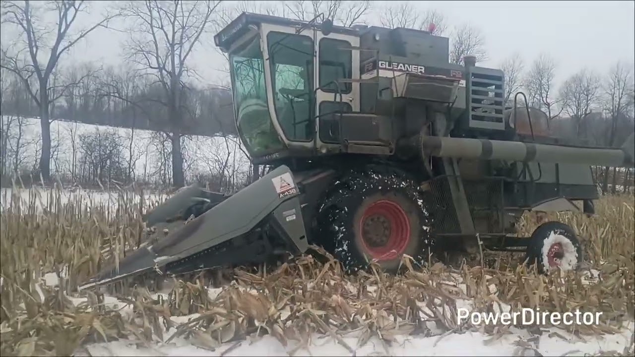 Corn '25
