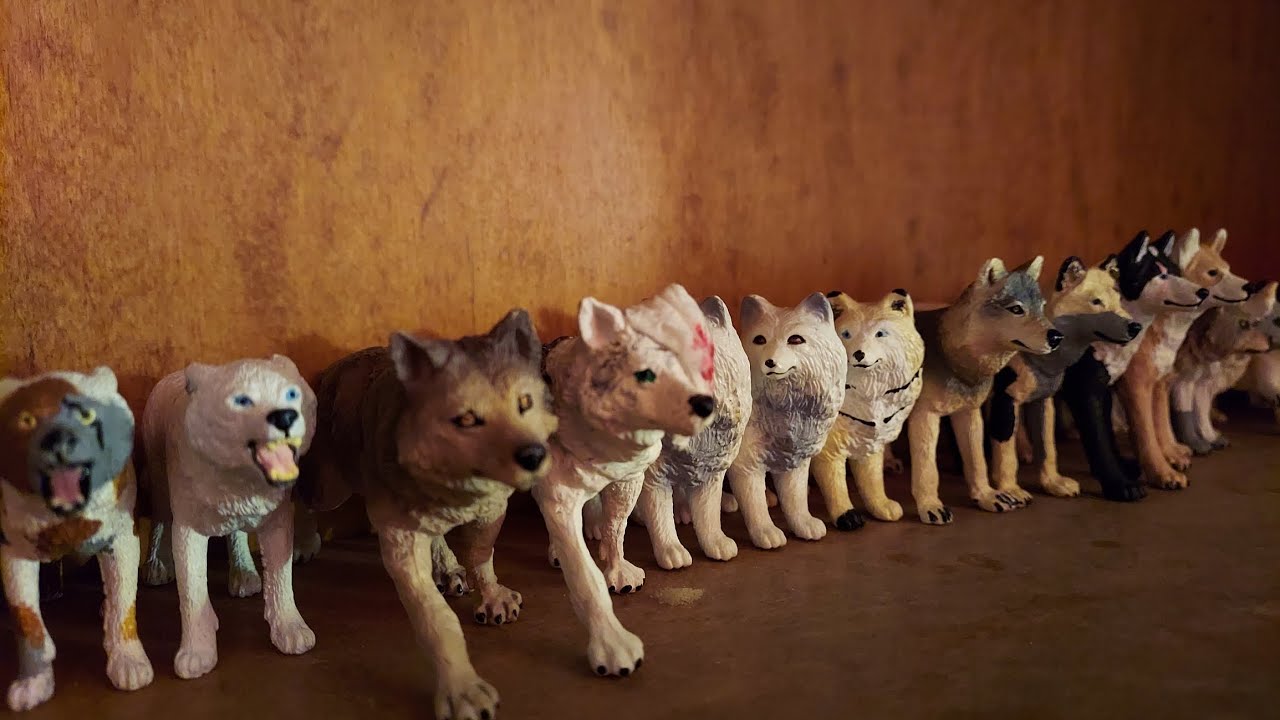 Updated Wolf Collection Tour!